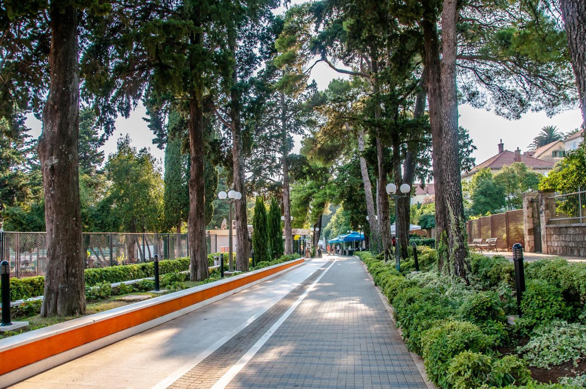 Avenue Apartment Dubrovnik Kültér fotó